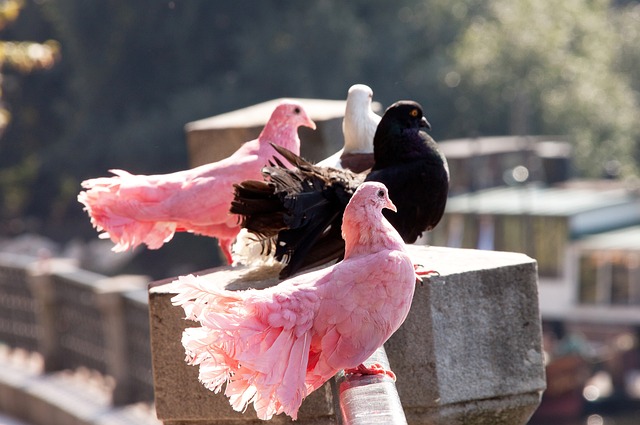 业的运动场 业的运动场