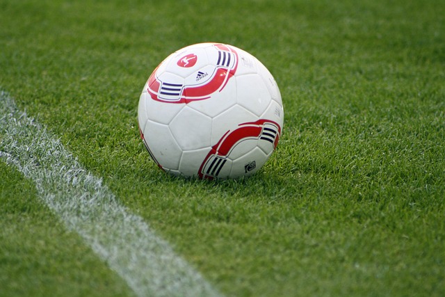 他利用自己 他利用自己