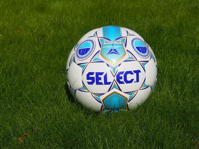 治了篮板球 治了篮板球