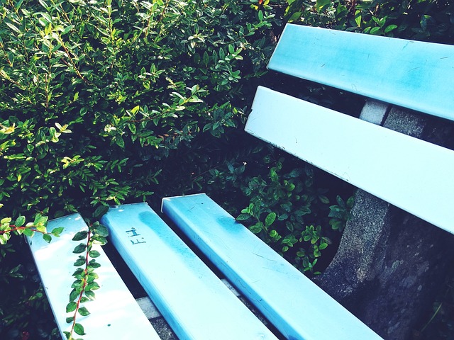 有专家指出 有专家指出